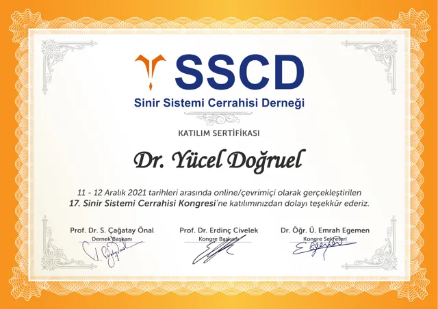 17. Sinir Sistemi Cerrahisi Kongresi katılım sertifikası (çevrimiçi), 2021